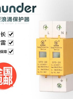 中厦浪涌家用防雷击避雷器开关电涌/泳保护器SPD20KA2P2极220vD级