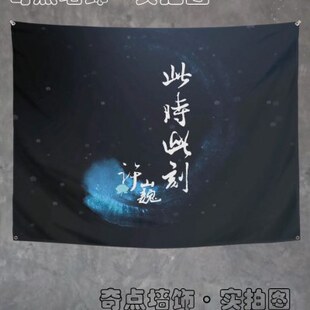 许巍蓝莲花应援大旗音乐节摇滚挂布背景布演唱会氛围感挂旗装饰