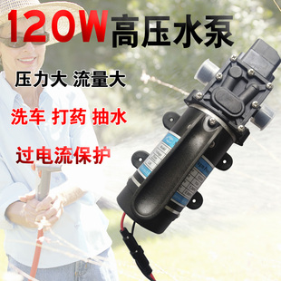 大功率高压打药洗车清洗机水泵家用电动隔膜泵打压测漏12V24V120W