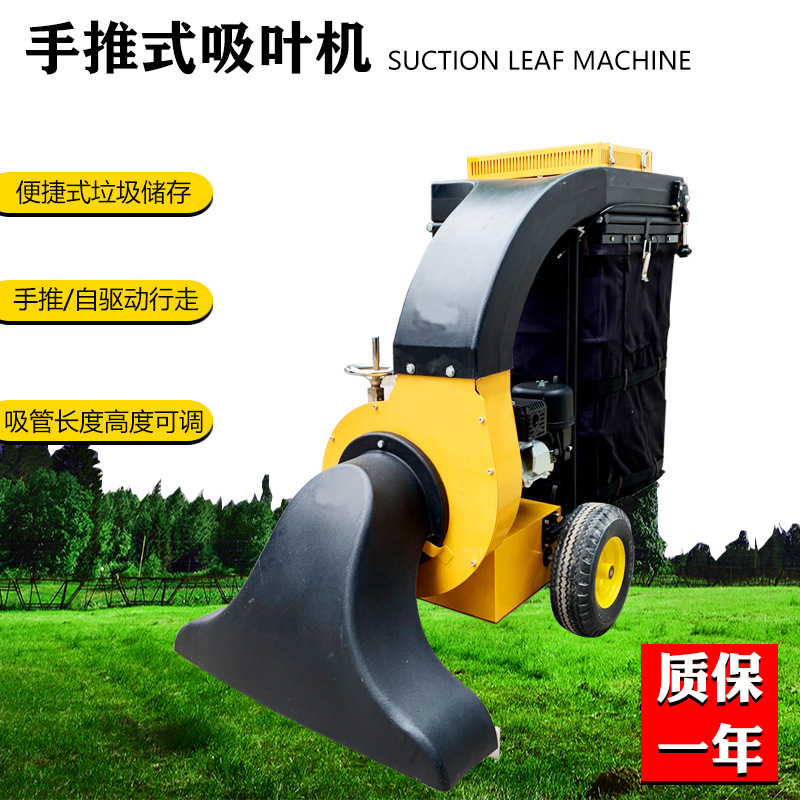 落叶清理吸叶机 汽油手推式吸叶机 大功率路面吸叶机厂家
