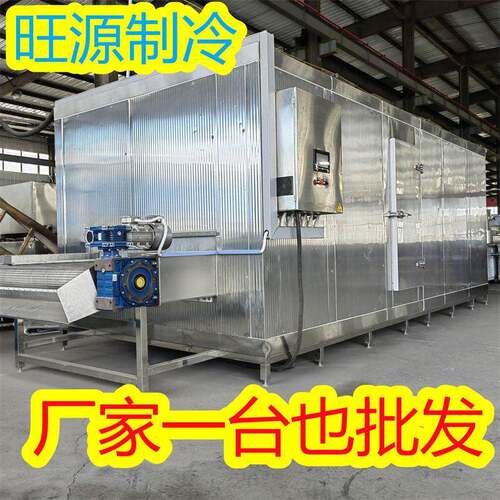 肉串速冻机 全自动隧道速冻肉类设备 网带式平板速冻机旺源