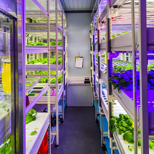 创农室内无土栽培蔬菜设备全智能植物工厂水培多层种植架工厂直销