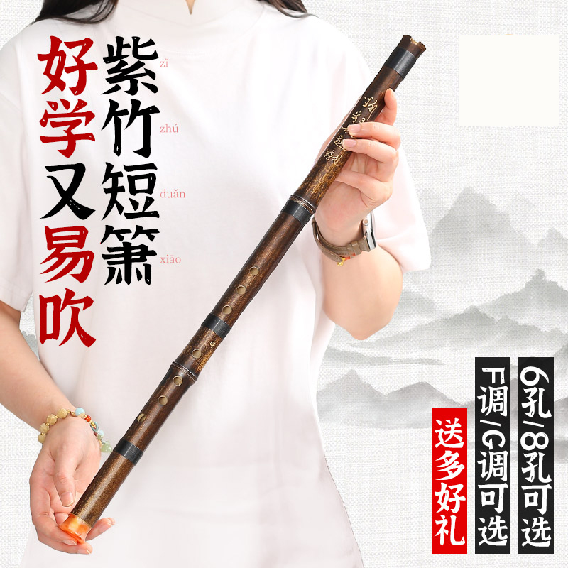 洞箫紫竹短箫初学入门G调F专业古风八8孔六6高档短萧笛潇民族乐器
