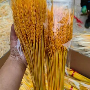 天然黄金大麦穗干花花束开业花篮装 饰礼品拍摄道具小婚庆摆件