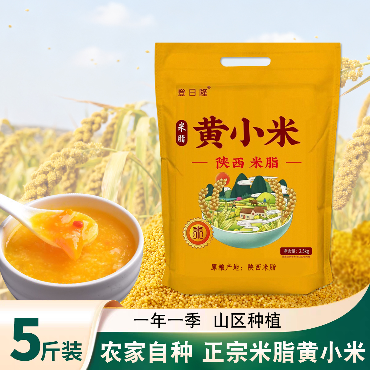 陕西当季新鲜黄小米颗粒饱满黄小米煮早餐粥杂粮粥黄小米粥