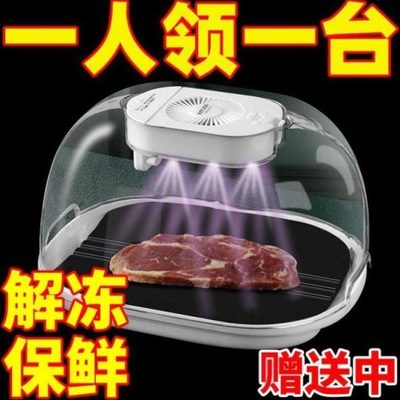 解冻神器家用牛排冻肉快速解冻锁鲜保鲜肉类化冰沥水多功能解冰器