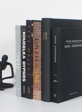 现代简约真书摆件装饰书书房书柜装饰品拍照道具