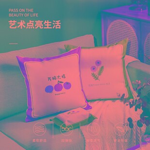 饰抱枕靠枕床头大靠背 万柿大桔棉麻抱枕套客厅沙发靠垫腰枕家居装