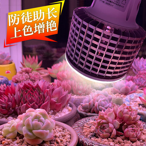 大棚多肉补光灯蔬菜兰草花卉家用上色全光谱仿太阳植物生长灯泡