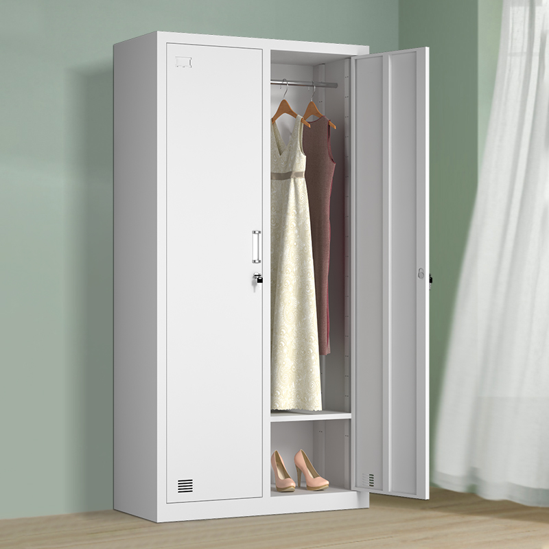 钢制二门更衣柜员工柜铁皮职工储物柜带锁存包柜鞋柜健身房多门柜