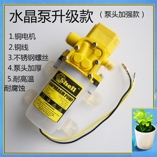 智能12V高压水泵喷雾器洗车净水增压泵压力开关60w微型潜水泵80w