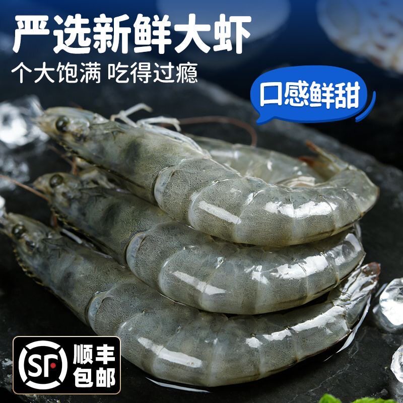 海捕青岛大虾新鲜大号国产虾大虾气冻冰鲜对虾青虾海虾海鲜