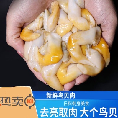 新鲜鸟贝肉大号鲜活去壳去沙金钩