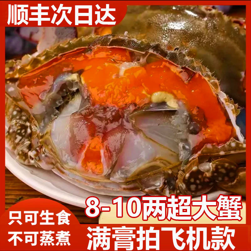 红膏呛蟹舟山整只咸蟹海鲜鲜活腌制即食梭子蟹特产飞机螃蟹