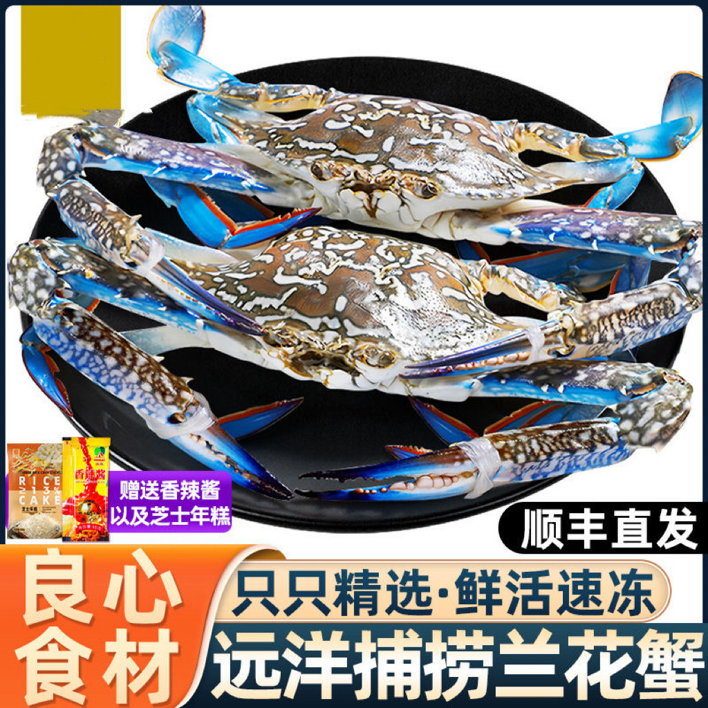 【顺丰包邮】梭子蟹兰花蟹活冻母蟹黄膏肉海蟹200-500g/只