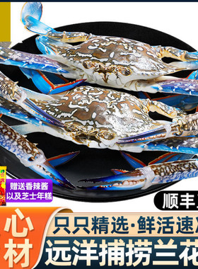 梭子蟹兰花蟹活冻母蟹黄膏肉海蟹