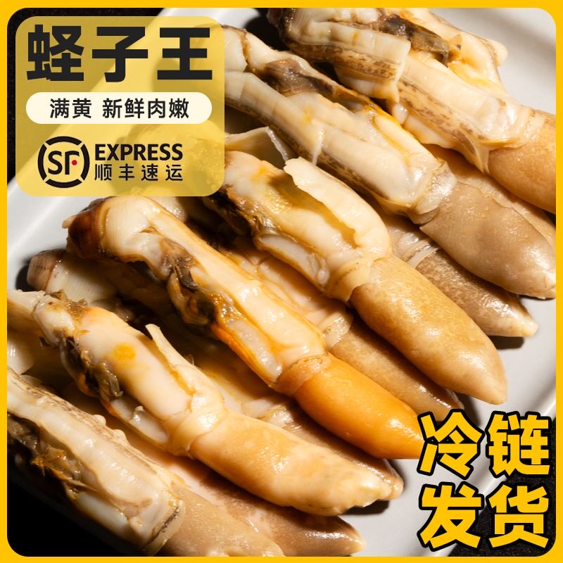 丹东特大号蛏子王冷冻蛏子鲜活去沙竹节蛏蛏子即食全熟竹蛏新鲜