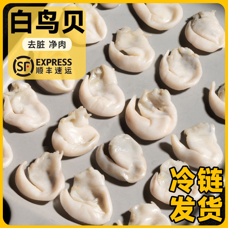 丹东白鸟贝鲜活冷冻去内脏贝壳鸟贝白鸟贝即食新鲜贝壳类海鲜顺丰