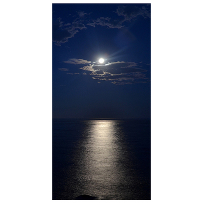 金星合月大海夜空海面满月海上升明月房间玄关挂画无框画装饰画