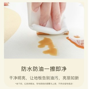 高级感皮革地垫家用入户门pvc地毯可擦免洗玄关垫进门防滑脚垫子