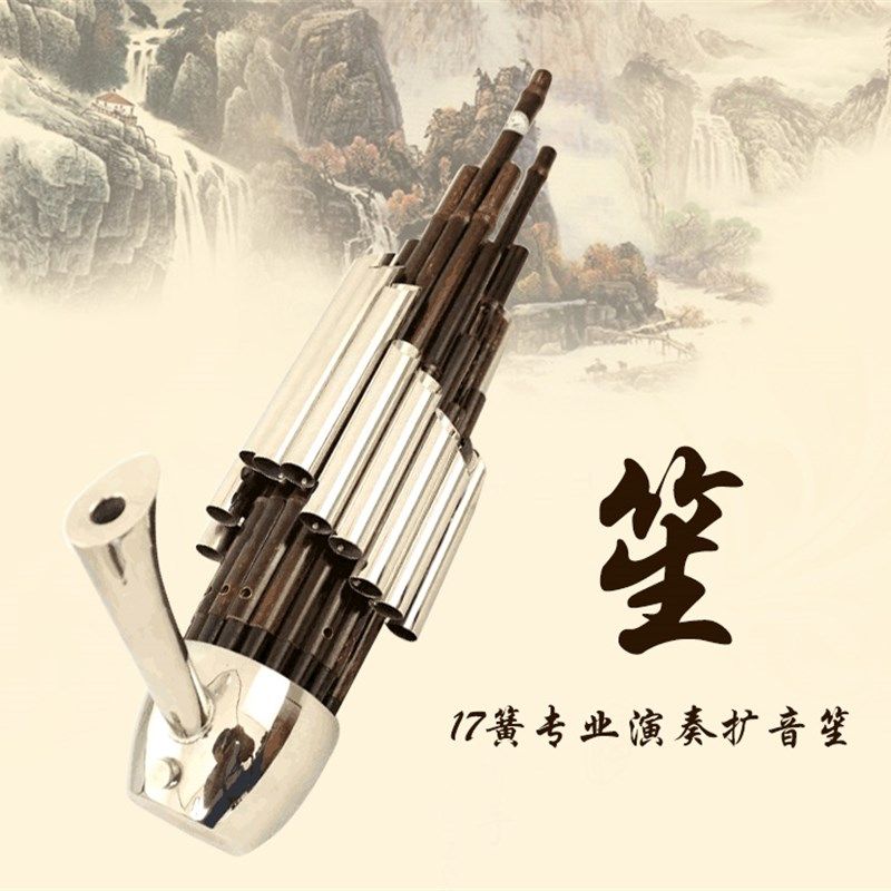 厂家直销专业精致17簧扩音笙DCFGE调笙