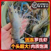 罗氏虾沼虾新鲜大头虾速冻鲜活冷冻大虾基围虾河虾虎头虾海鲜水产