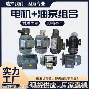 电机+油泵组合液压油泵电机组0.75KW/1.5KW/2.2/3KW/4KW/5.5KW