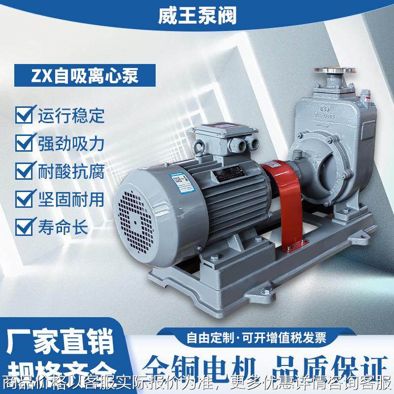 厂家直销无堵塞自吸泵 卧式单级单吸杂质泵 工业污水泵,五金/工具,水泵,淘宝优惠券,粉丝福利购,淘宝优惠卷