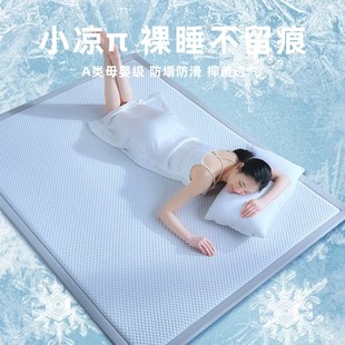 客厅凉席地垫加厚卧室地毯榻榻米床垫家用打地铺午睡垫子 2025新款