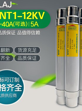 厂家直销 高压熔断管XRNT-10-12KV/5-40A XRNT-24KV/5-40A