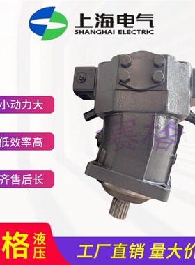 上海电气柱塞泵插装式柱塞变量马达A6V80EP2/63W/A6V107EP2/63W