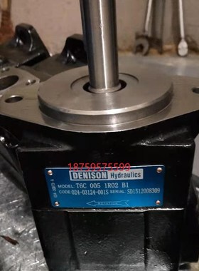 T6D-024-2R00-B1油泵DENISON丹尼逊油泵T6D0242R00B1