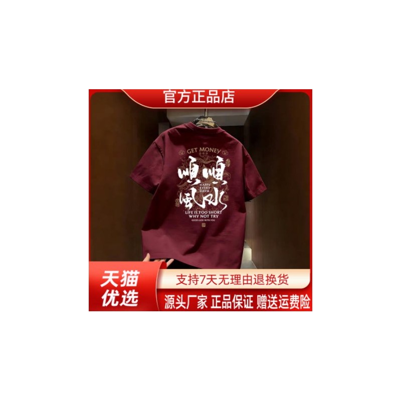 师凯服饰Amphelisia夏季潮流复古短袖T恤男2026圆领字母印花短袖
