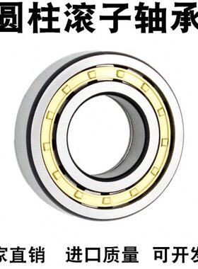 VTYG圆柱滚子轴承 N  NJ NU NUP 207 208 209 210 211 212 213 EM