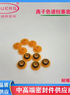 戴安离子色谱柱塞密封圈ICS900/600/1000/2000/055870泵头密封圈9