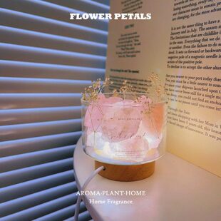 水晶石扩香石无火香薰小夜灯精油香氛女生家用卧室内助眠淡香摆件