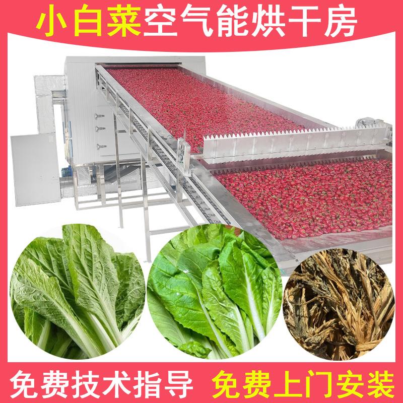梅干菜烘干机空气能网带式干冬菜脱水烘干设备梅菜蔬菜干干燥机
