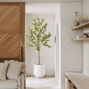 仿真桂树仿生绿植假树室内橱窗客厅落地装饰造景