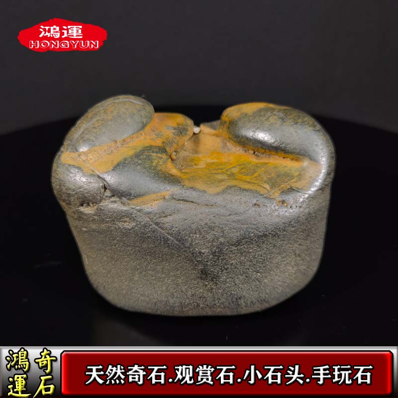 天然小石头玉石盆景石鱼缸石头玉石观赏石把玩石龟晒石小摆件孤品