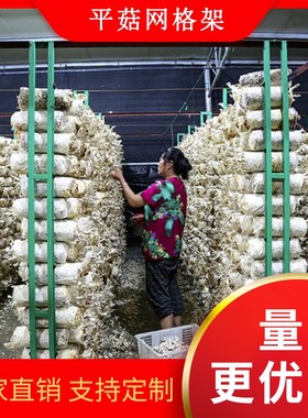大棚平菇种植架蘑菇网架菌包养殖架绿色铁丝网格平菇食用菌网格