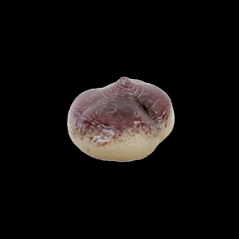 现代陶瓷杨桃樱桃小野果凉薯南瓜样板间摆件饰品