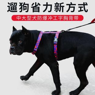 DODOPET狗狗胸背中大型犬背心式遛狗绳防爆冲宠物胸背带一件