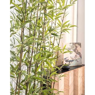 仿真竹子装饰隔断挡墙仿生假竹子仿真植物室内楼梯下造景绿植景观