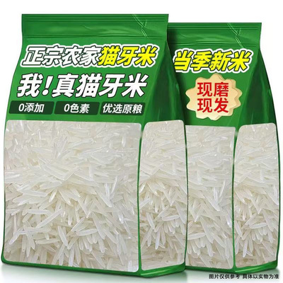 【特价】新米猫牙米长粒香米正宗长款细长米猫牙优质煲仔饭批发款