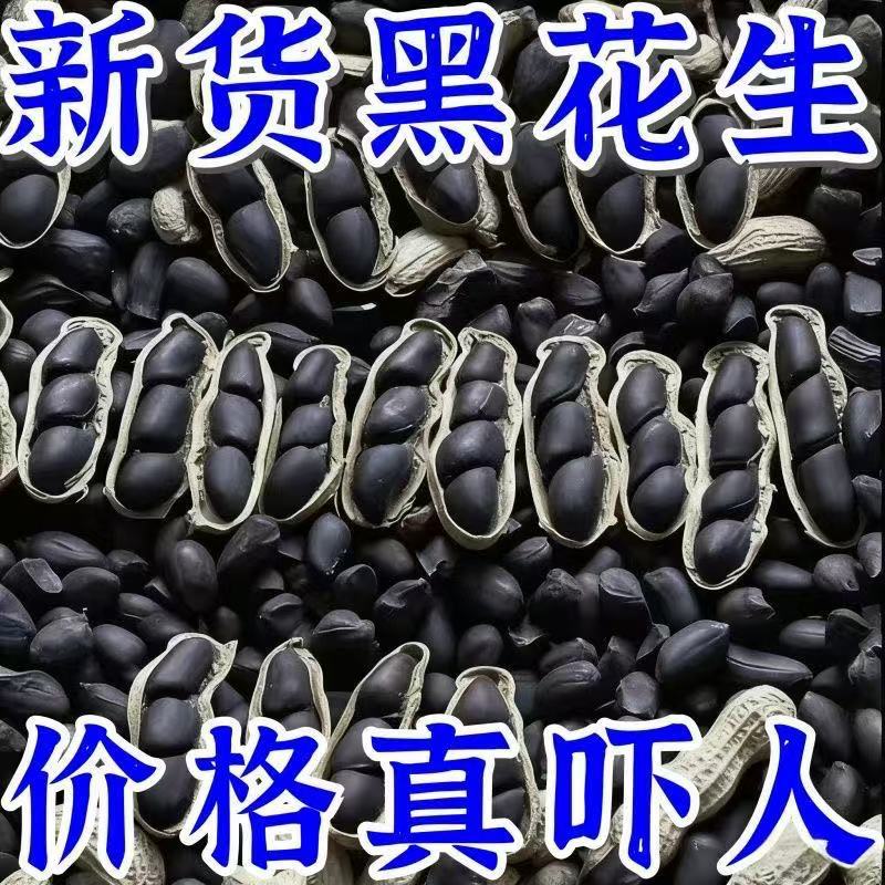 超实惠】云南正宗富硒生黑花生带壳生黑花生黑子花生养胃黑花生