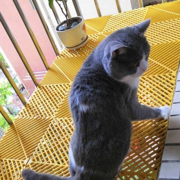 阳台防护栏垫板阳台防坠防护网窗台塑料防盗窗垫板花架防护栏挡板,基础建材,安全网,淘宝优惠券,粉丝福利购,淘宝优惠卷