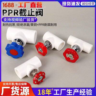 工业降行家选PPR截止阀6分20 2管熔件热水管接头MAGA-102多规格升