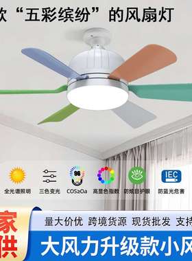 超静音LEDE27螺口迷你风扇灯可拆卸彩色扇叶电扇灯餐厅卧室吊扇灯