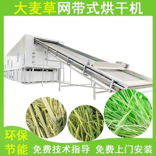 大麦草烘干机全自动连续式大麦苗脱水烘干设备网带野麦草干燥机