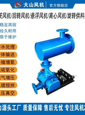 山东大山回旋式风机污水处理河道治理曝气增氧251S40S30S501S